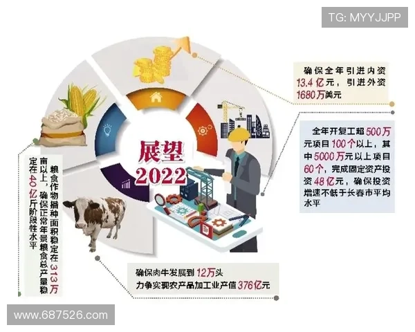 以企业家精神引领创新驱动的未来高质量发展路径体系探索新篇章